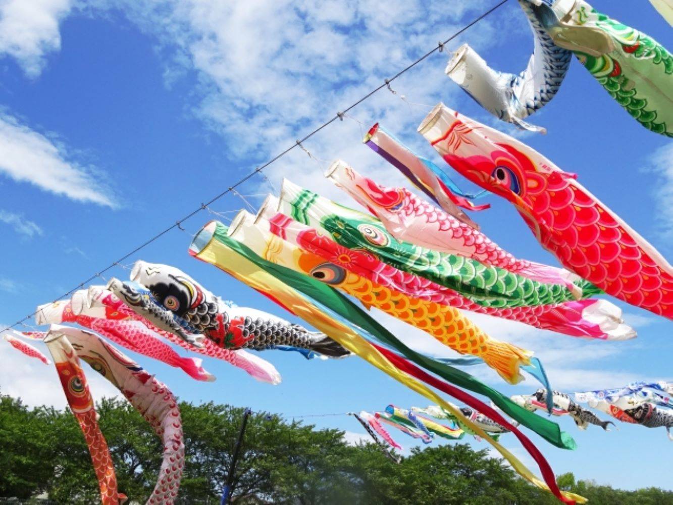 国分川鯉のぼりフェスティバル2020中止