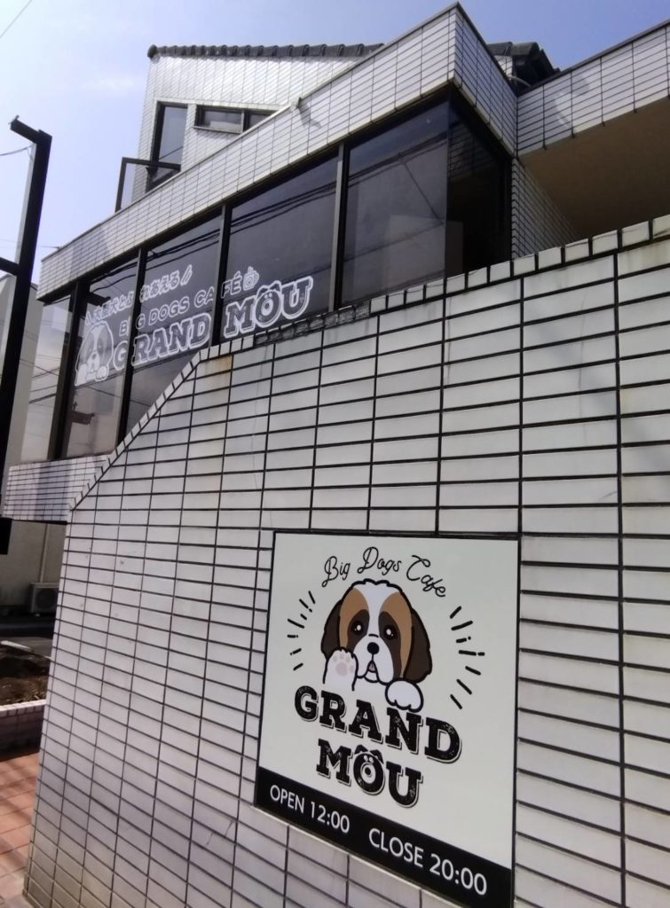 大型犬カフェ場所千葉県松戸市松飛台ぐらんむー