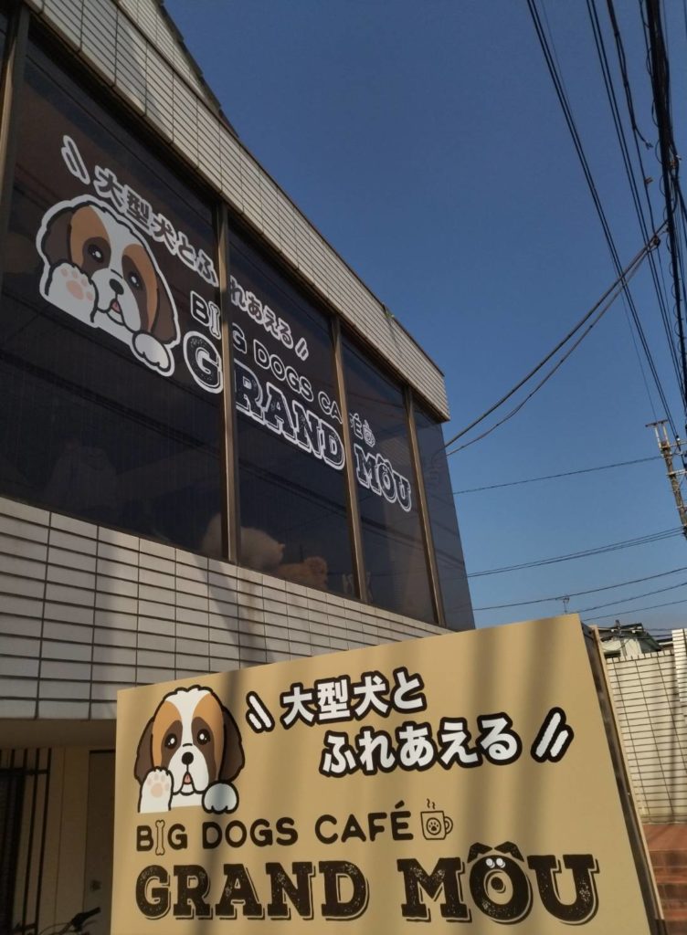 大型犬カフェ松戸グランムー