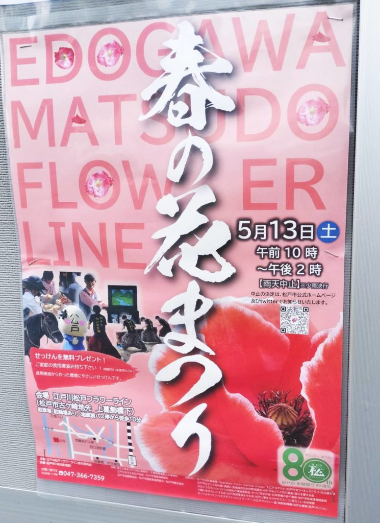 江戸川松戸フラワーライン春の花まつり2023松戸市古ヶ崎イベント