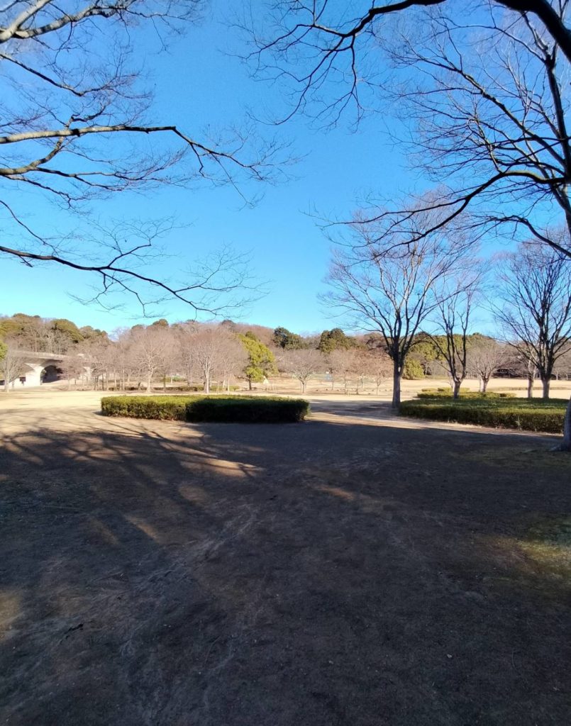 千葉県松戸市公園21世紀の森と広場