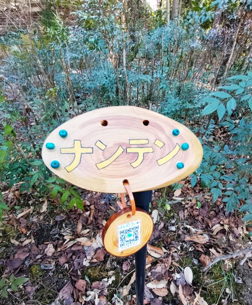 ナンテン21世紀の森と広場千葉県松戸市