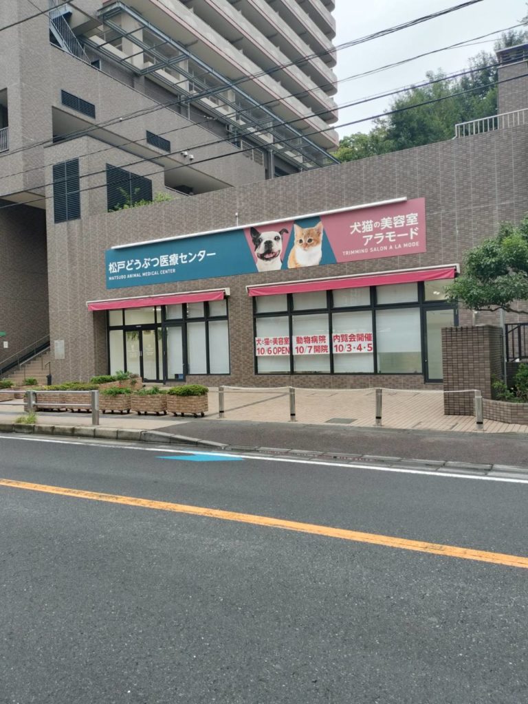 動物美容室アラモード2025年10月松戸駅前オープン
