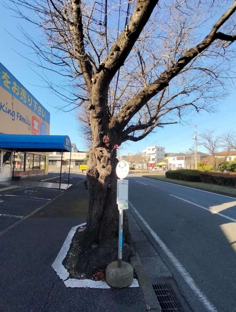 六実さくら通りキングファミリー松戸六高台店閉店