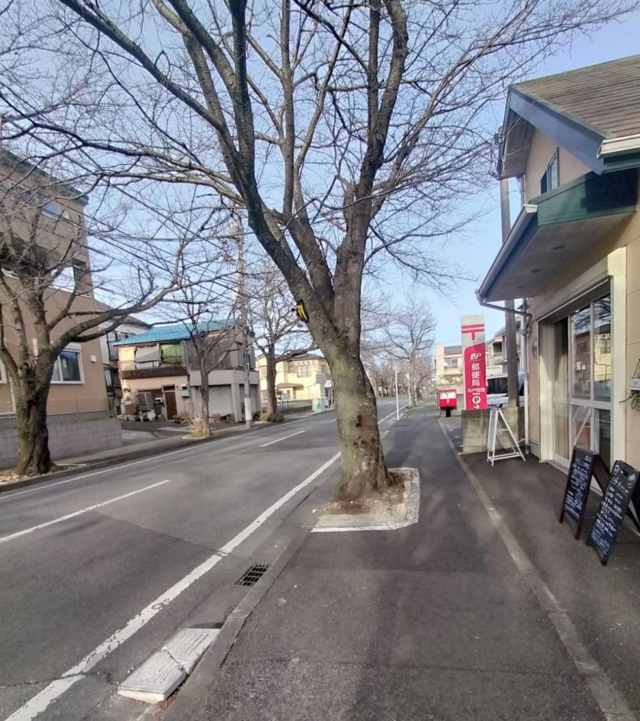 常盤平八柱さくら通りカフェcafe de mi_naオープン