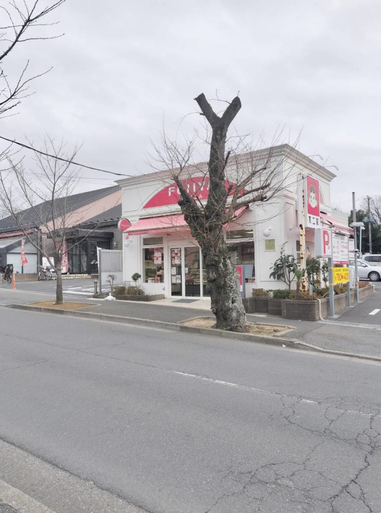 さくら通り不二家休業2026年2月松戸市
