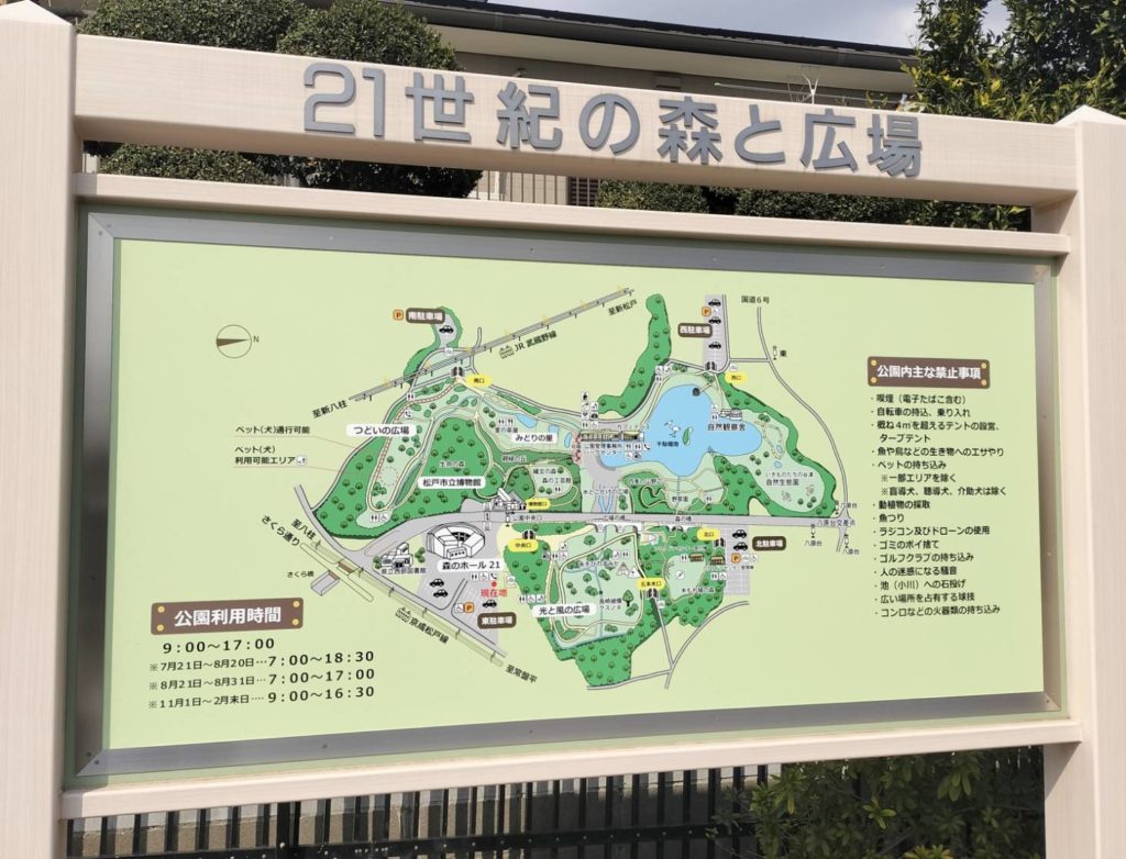 21世紀の森と広場 千駄堀池のほとり千葉県松戸市