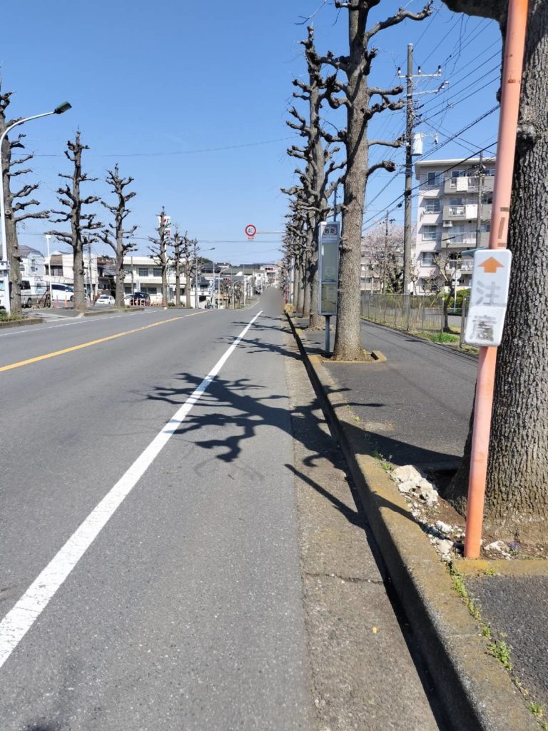 若芝交差点ディスカウントストアビッグ・エー松戸小金原店オープン