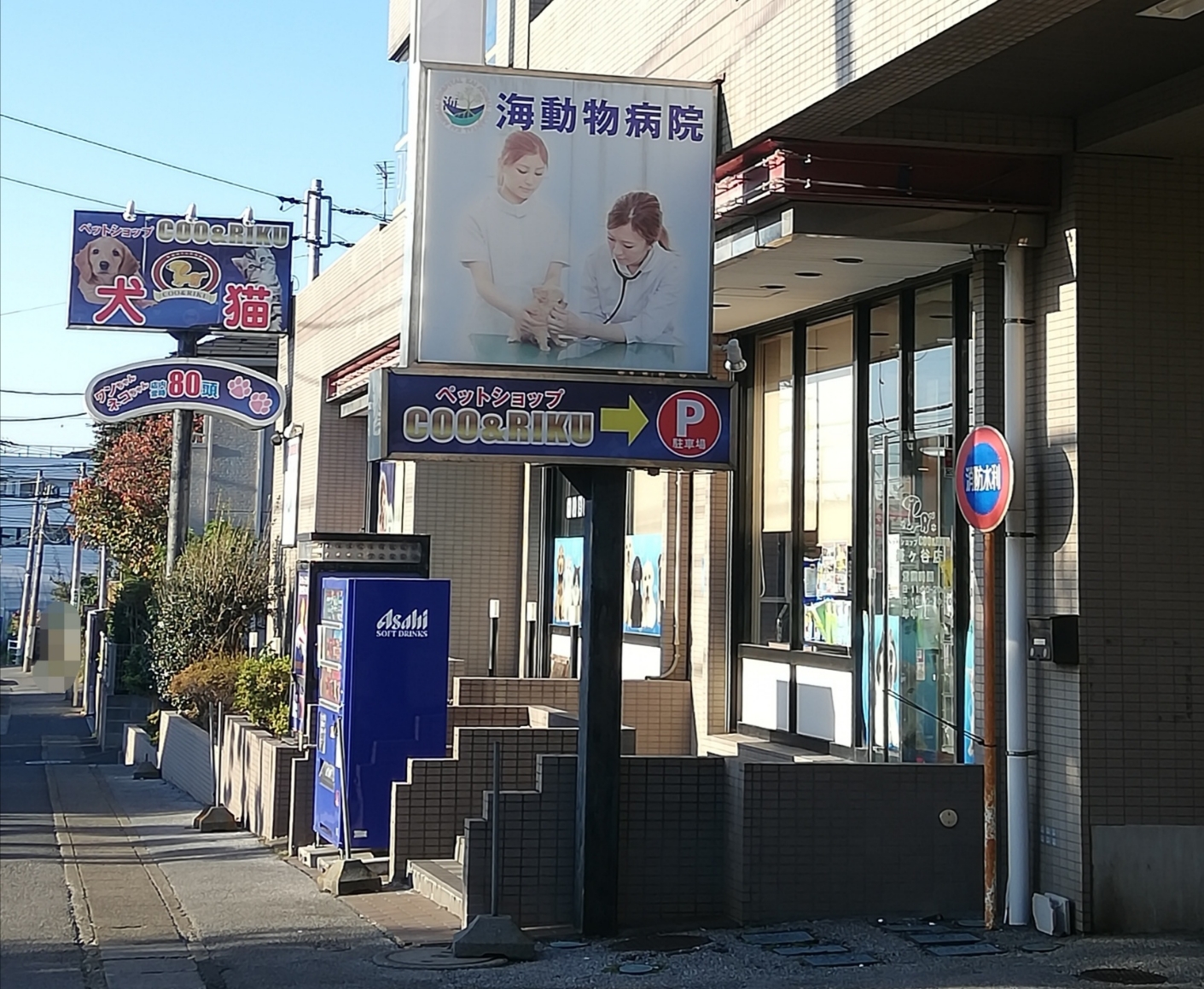 ペットショップCoo&RIKU 鎌ヶ谷店