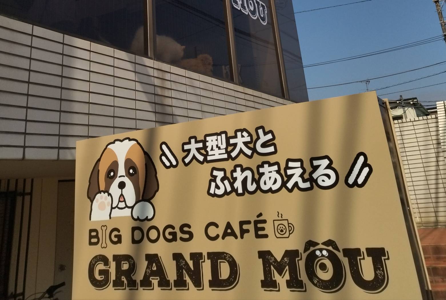 大型犬カフェ GRAND MOUぐらんむー千葉松戸松飛台