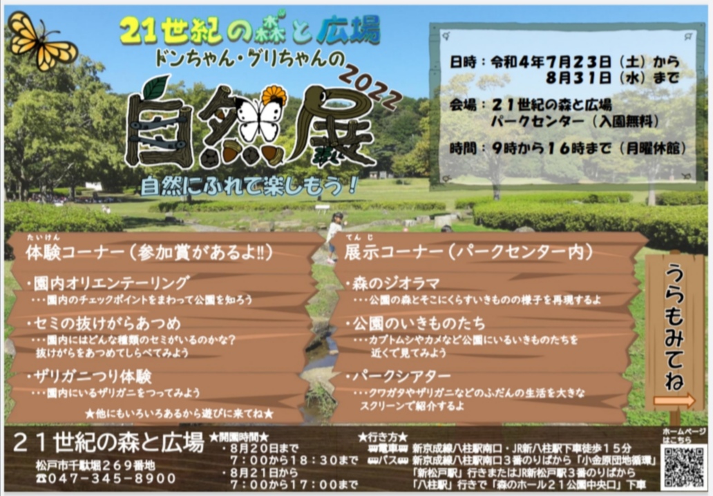 21 世紀の森と広場イベント2022年夏千葉県松戸市