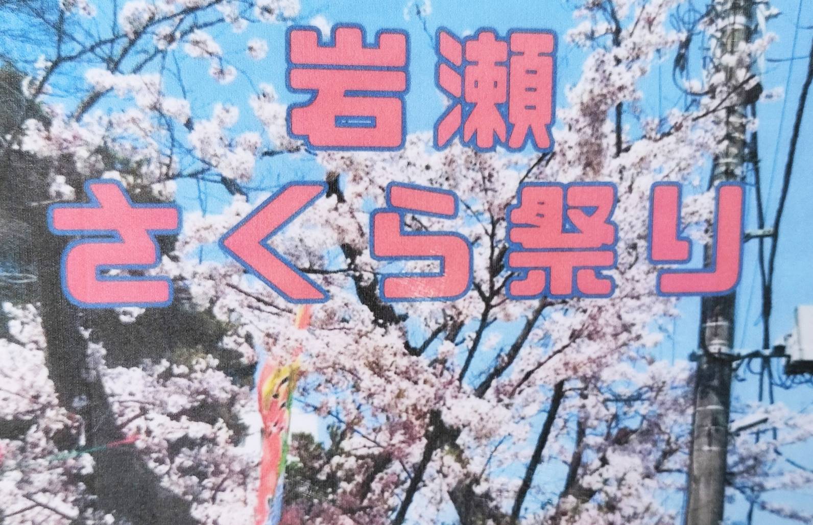 岩瀬さくら祭り2024年3月千葉県松戸市桜まつり