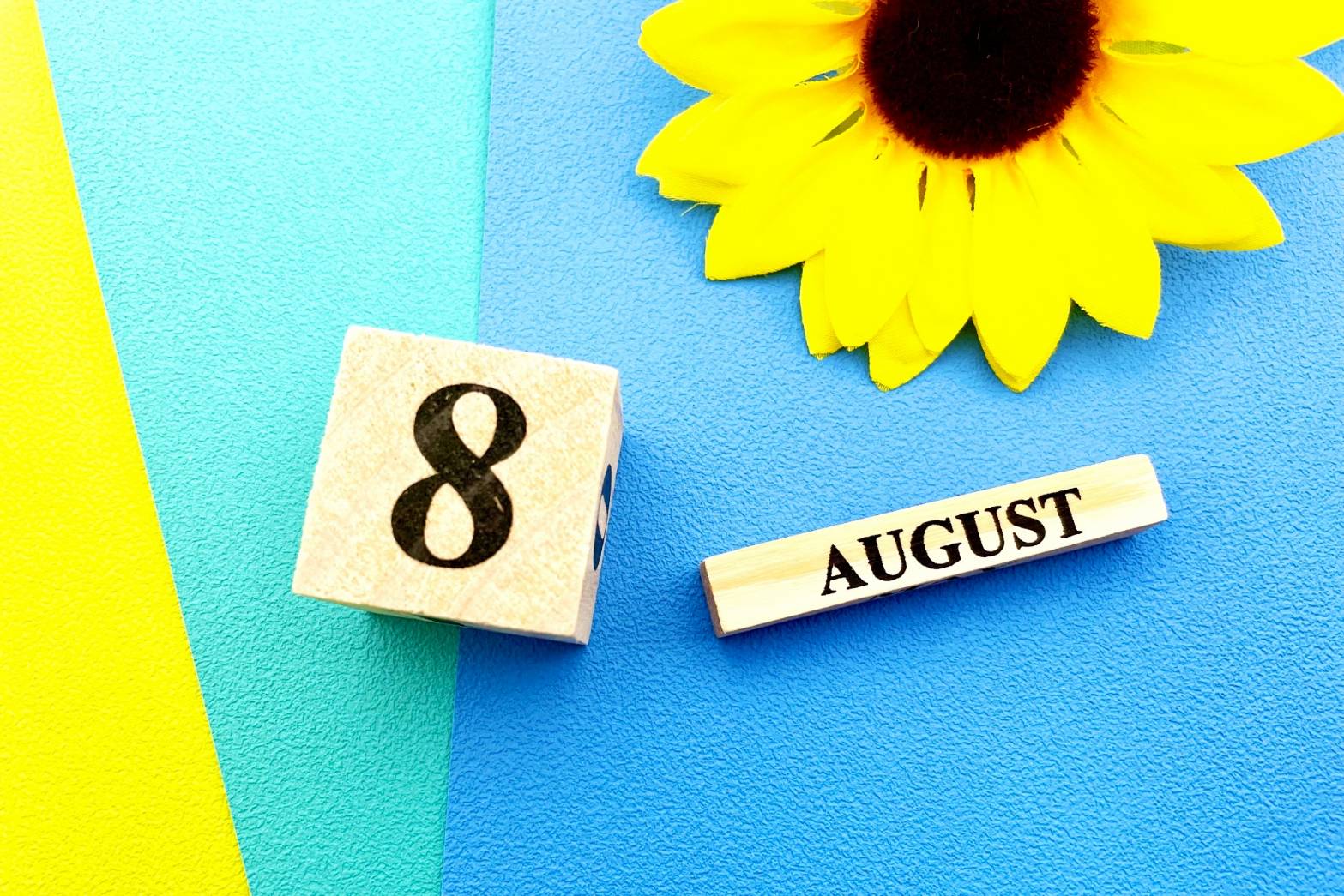 8月開店閉店イベント松戸市2025年