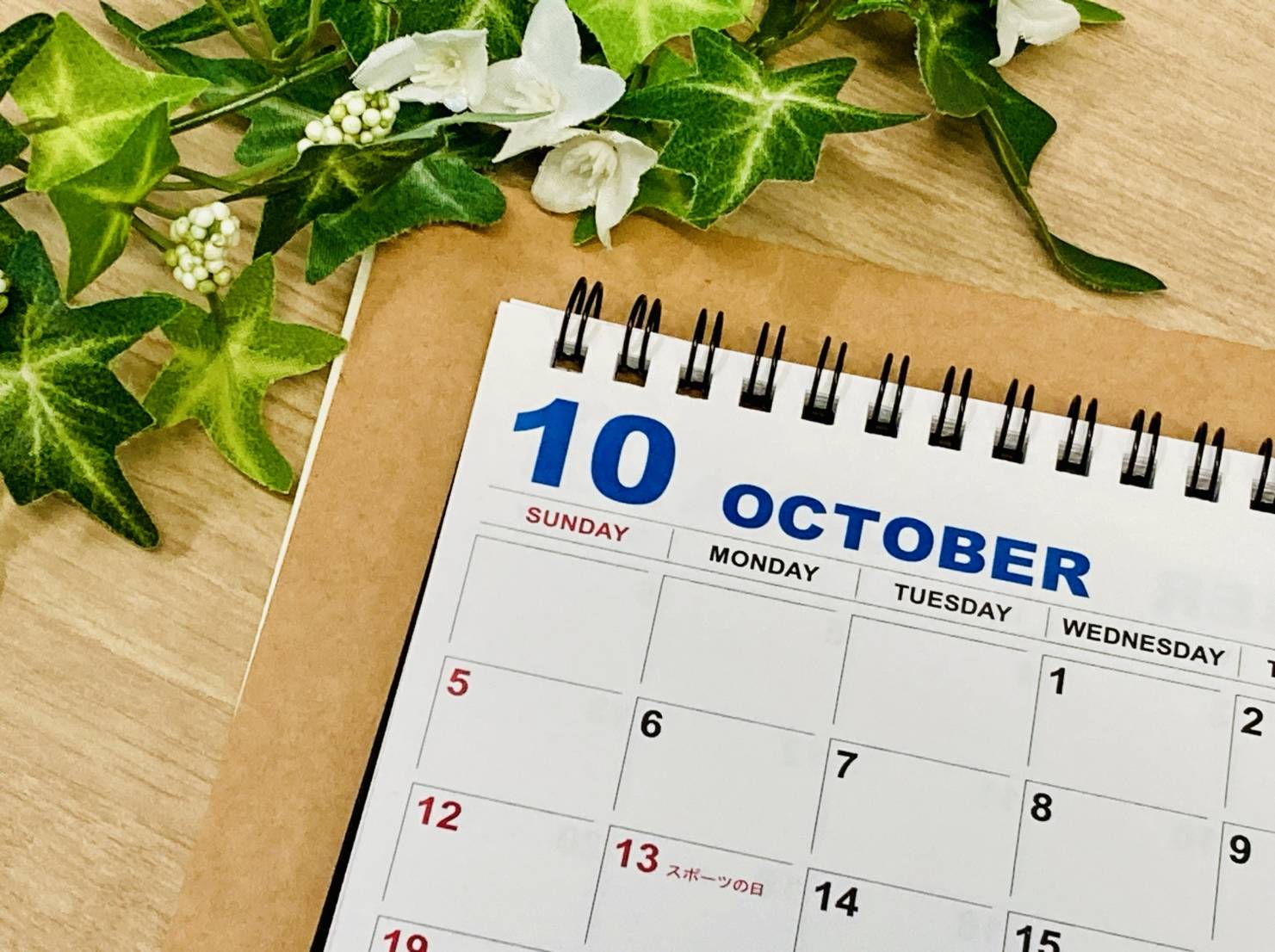 2025年10月松戸市まとめ開店イベント