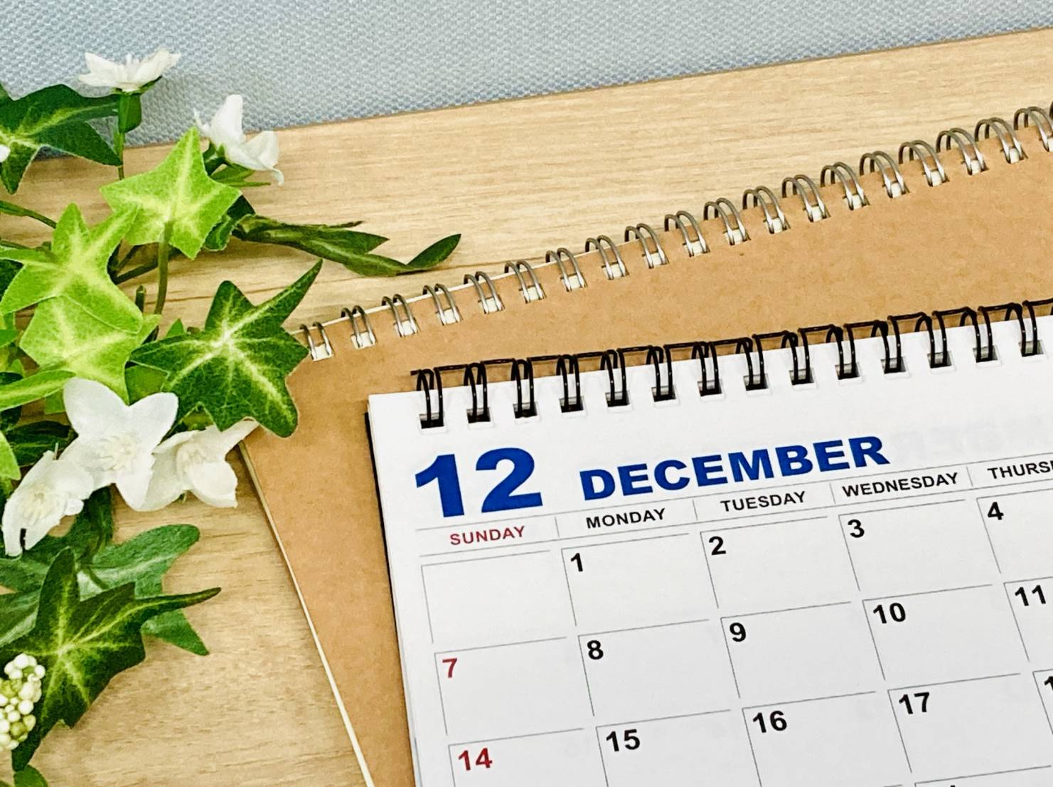 2025年12月開店イベント松戸市