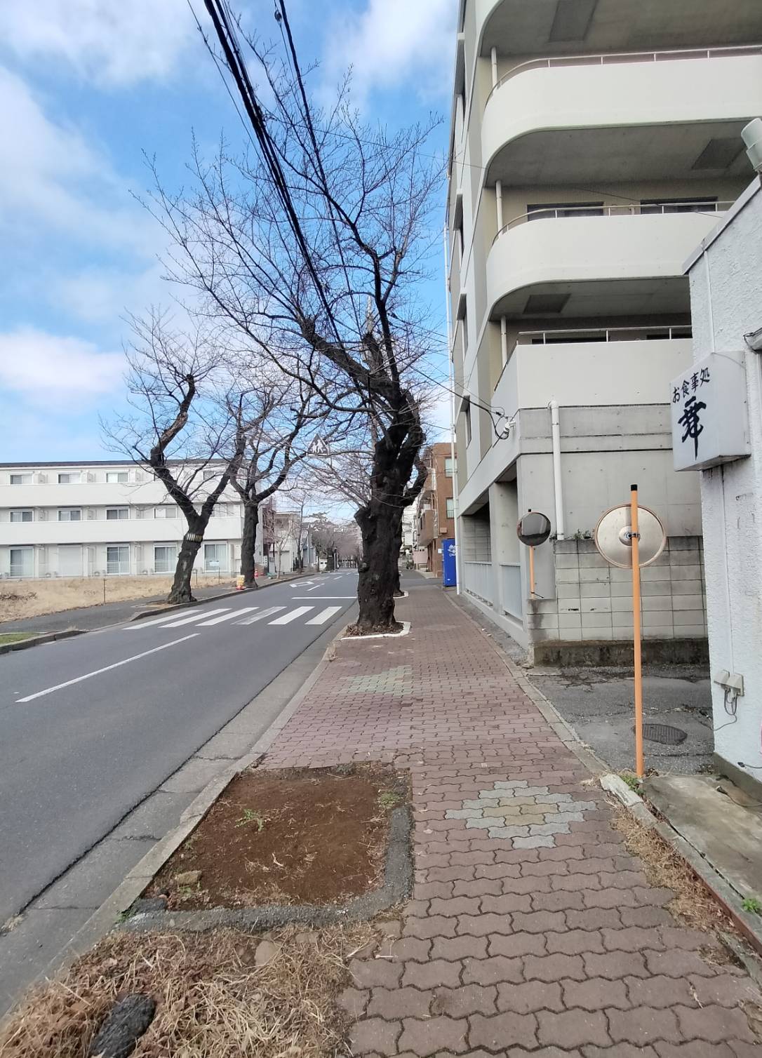 お食事処 舞リニューアルオープン2026年2月